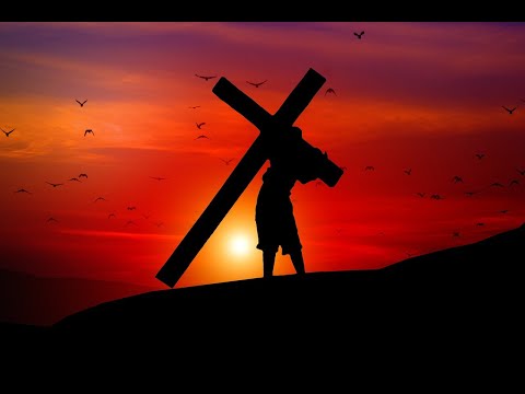 Saeed Salimi / Gottes Zorn über die Gottlosigkeit / Römer 1,18-23